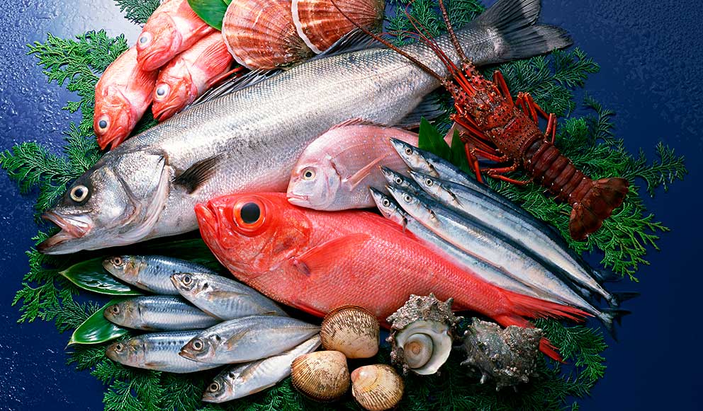 8 Razones Para Comer Pescado En Semana Santa Colegio De Nutricionistas Del Perú 6026